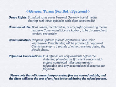 General terms of the system